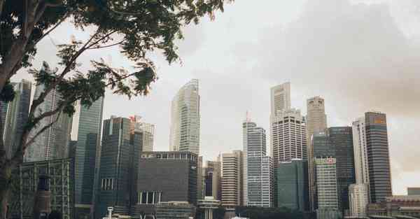 宣传片制作宣传片_宣传片制作市场价