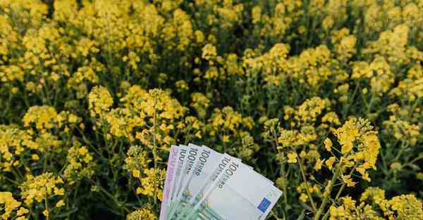 四川拍宣传片制作公司排名